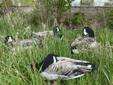 Pro Series II Sit’n Geese