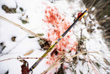 Carbon Express D-Stroyer Fletched Carbon Hunting Arrows (6-Pack)