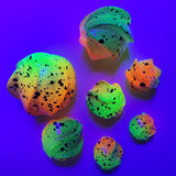 Spin-Roe - Toxic Toad