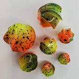 Spin-Roe - Toxic Toad