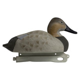 Rugged Series Canvasback Decoys – Foam Filled
