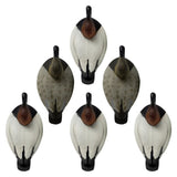 Rugged Series Canvasback Decoys – Foam Filled