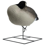 Rugged Series Flocked Head Full Body Canada Sleeper 4-Pack