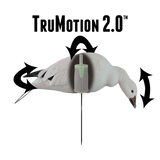 Rugged Series Full Body Snow Goose Touchdown Decoys 12-Pack