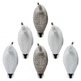 Rugged Series Snow Goose Floaters