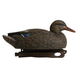 Rugged Series Standard Mallard