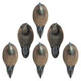 Rugged Series Wigeon