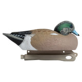 Rugged Series Wigeon