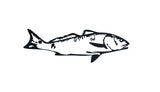 Steel Redfish (Drum) Wall Art