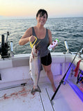 Ice Strong Outdoors - 8.5" Dual Fin Flasher Series - NEW 2026 Colors Released!