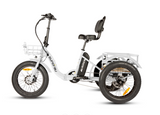 New Trike 2.0