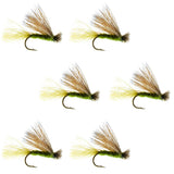 Barbless Olive X Caddis Emerging Caddis Adult Fly - 6 Flies Size 18