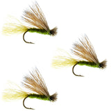 3 Pack Olive X Caddis Emerging Caddis Adult Trout Dry Fly - Hook Size 18