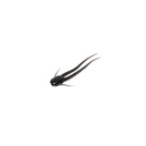 P3 Plastics - Slicee 1"  - 28 color options